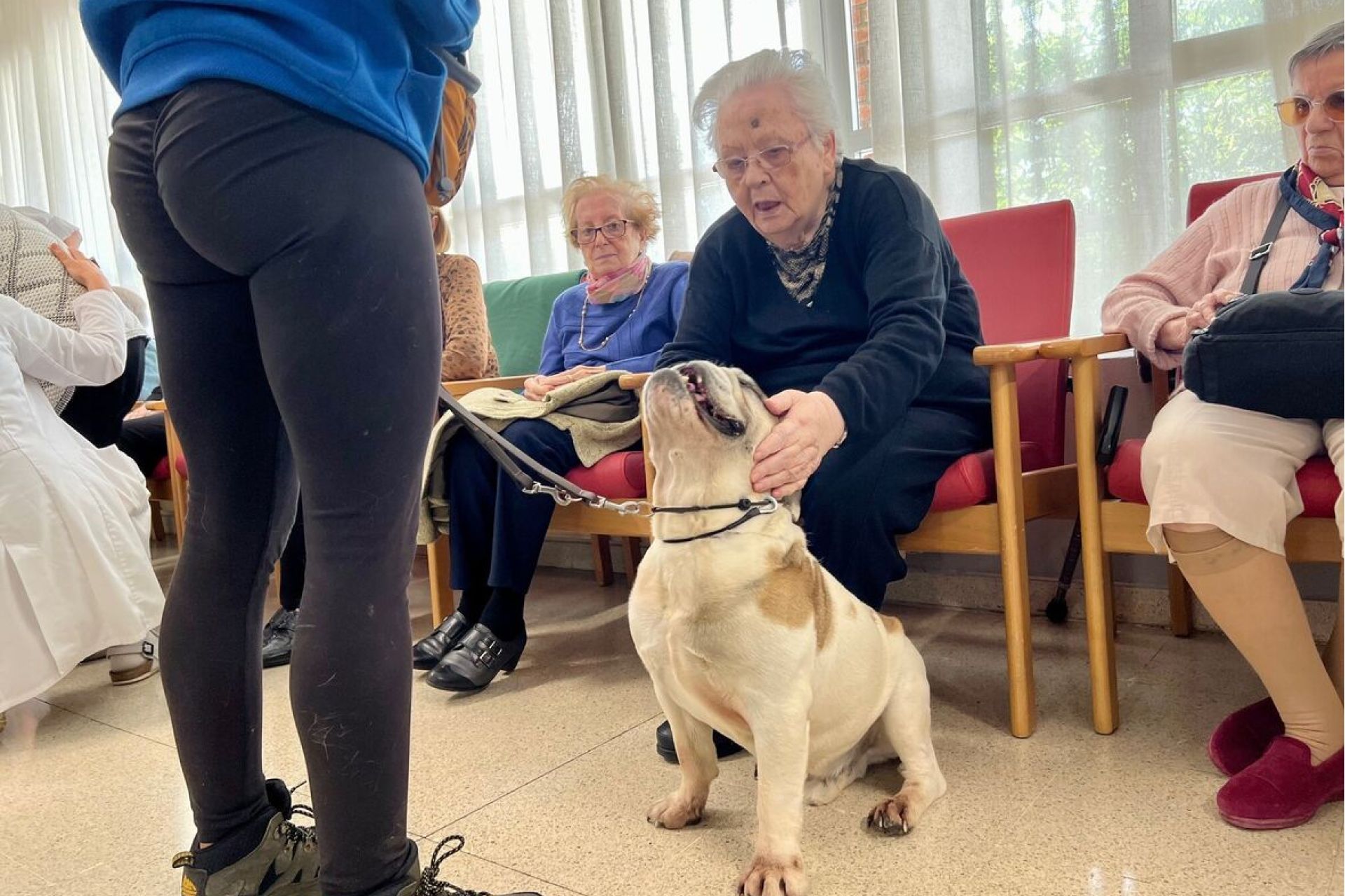 Comienzan los talleres caninos para incidir en el bienestar de las personas mayores