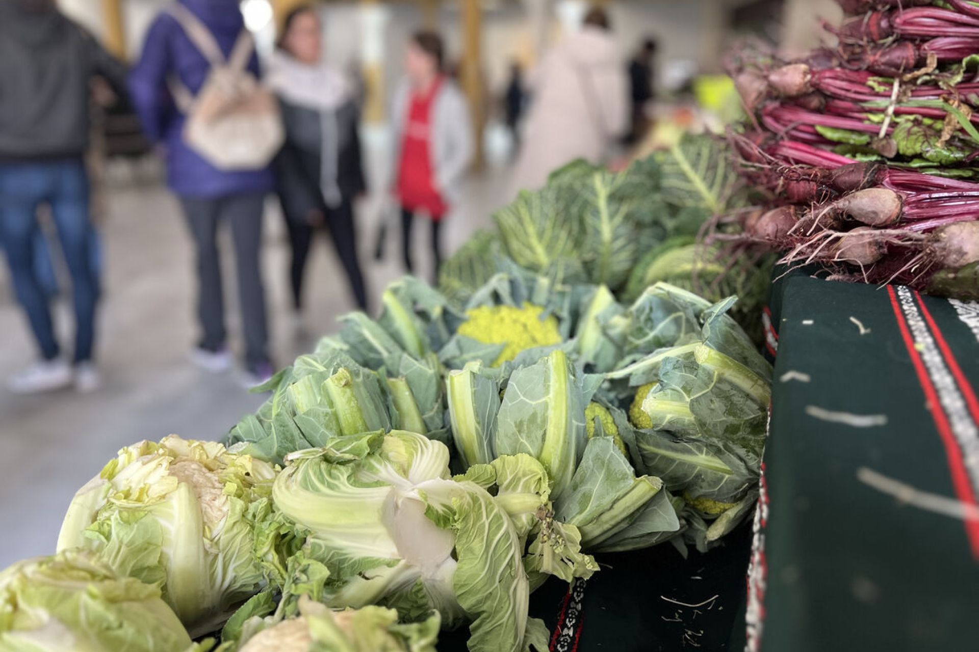 Las verduras de invierno continúan en su apogeo