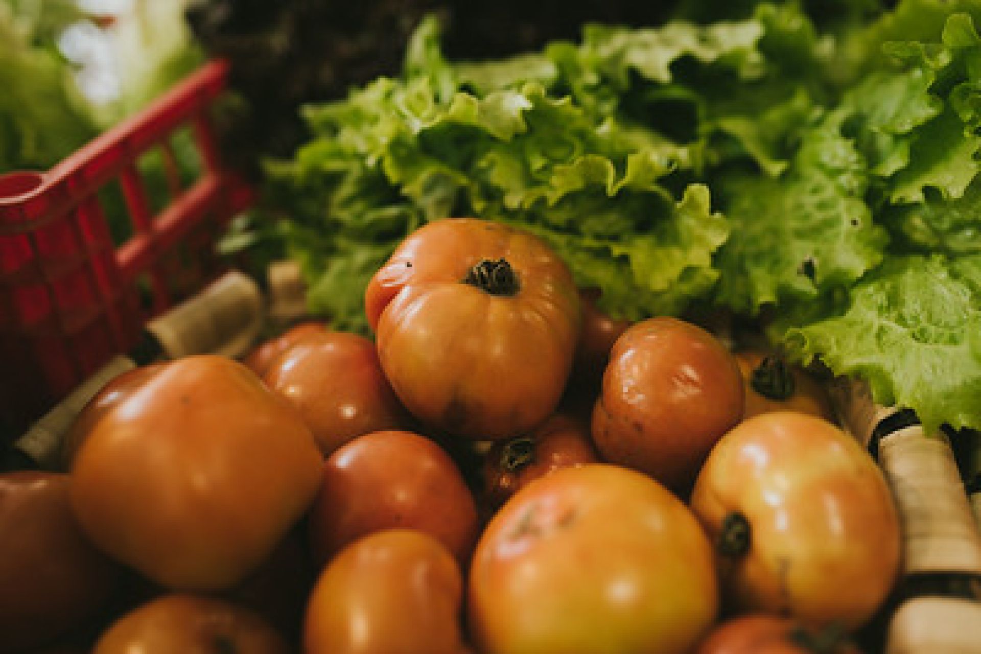 El primer tomate de temporada protagonista del mercado extraordinario
